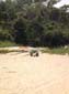 images_465