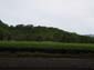images_472