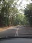 images_485