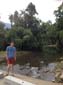 images_495