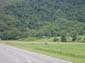 images_496