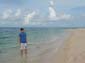 images_527