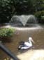 images_558