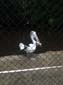 images_565