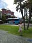 images_568