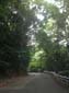 images_618