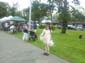 images_641