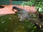 images_646