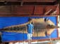 images_691