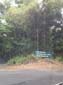 images_697