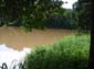 images_769