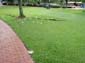 images_818
