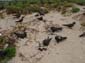 images_819