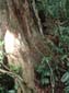 images_835