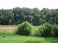 images_852