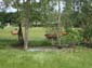 images_855
