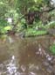 images_867