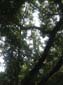 images_892