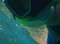 images_905