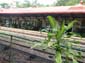 images_911