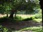 images_972