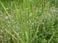 images_997
