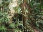 images_999